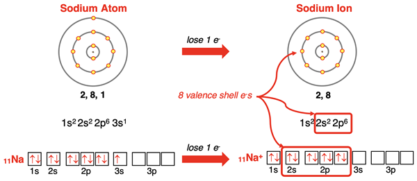 Electron shell diagrams, orbital box diagrams, and electron configurations representing Na forming Na+ ion.