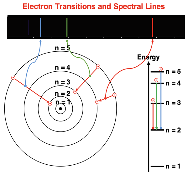 Diagram showing Bohr orbits (labeled n), line spectra of hydrogen with three emission lines, and energy level diagram. Three transitions are shown on the Bohr model of the atom. Corresponding transitions on the energy level diagram are shown. Each is associated with one of the three visible light emission lines on the spectra.