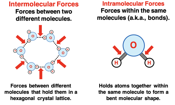 Intermolecular Forces Forces between two different molecules. Forces between different molecules that hold them in a hexagonal crystal lattice. VERSUS Intramolecular Forces Forces within the same molecules (a.k.a., bonds). Holds atoms together within the same molecule to form a bent molecular shape.