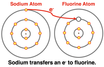 Electron Shell Diagrams: Sodium atom transfers an electron to fluorine atom.