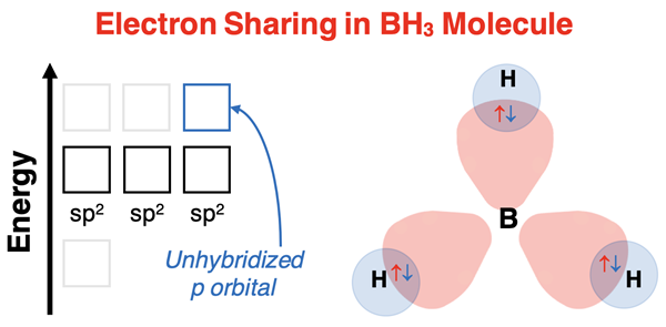 Energy level diagram and 3D spatial model showing orbital overlap and electron sharing in BH3.