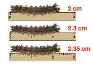 Example of how the divisions on an instrument scale affects the number of significant digits