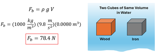 An equation and an illustration are shown.  For the illustration, a cube of wood and a cube of iron are shown floating in water.  Two cubes of same volume.  To the left, the equation is given F sub b = rho g V.  plugging in values, we get F sub b = 1000 times 9.8 times 0.008 cubic meters, which comes to 78.4 Newtons.