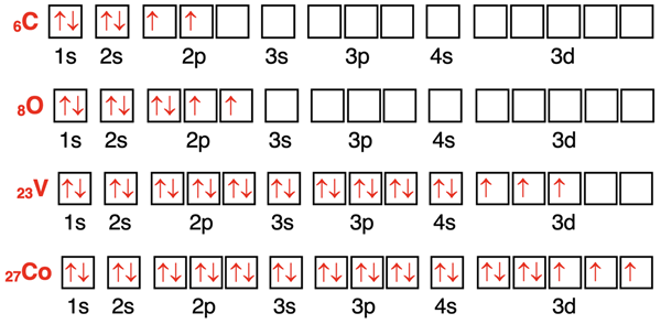 Four examples of orbital box diagrams for elements.