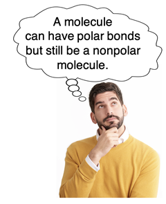 Person pondering: A molecule can have polar bonds but still be a nonpolar molecule.