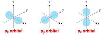 Diagram of the spatial orientation of the three p orbitals.