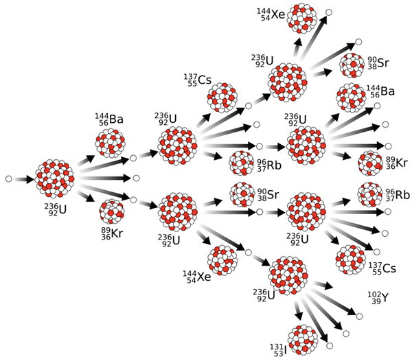 Chain reaction shown for U-235 fission with neutrons from one event causing fission in several other neutrons; three generations are shown.
