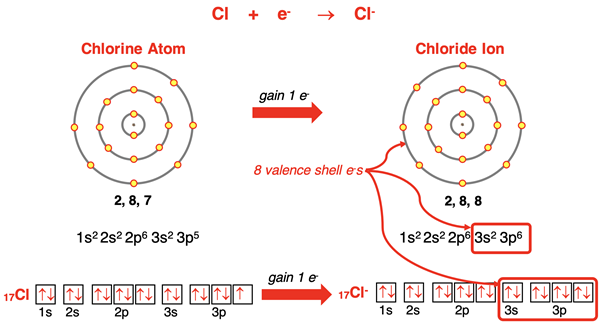Electron shell diagrams, orbital box diagrams, and electron configurations representing Cl forming Cl- ion.