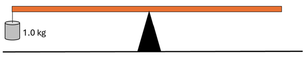 A meter ruler balanced over a pivot with a 1kg mass being attached to the left side.